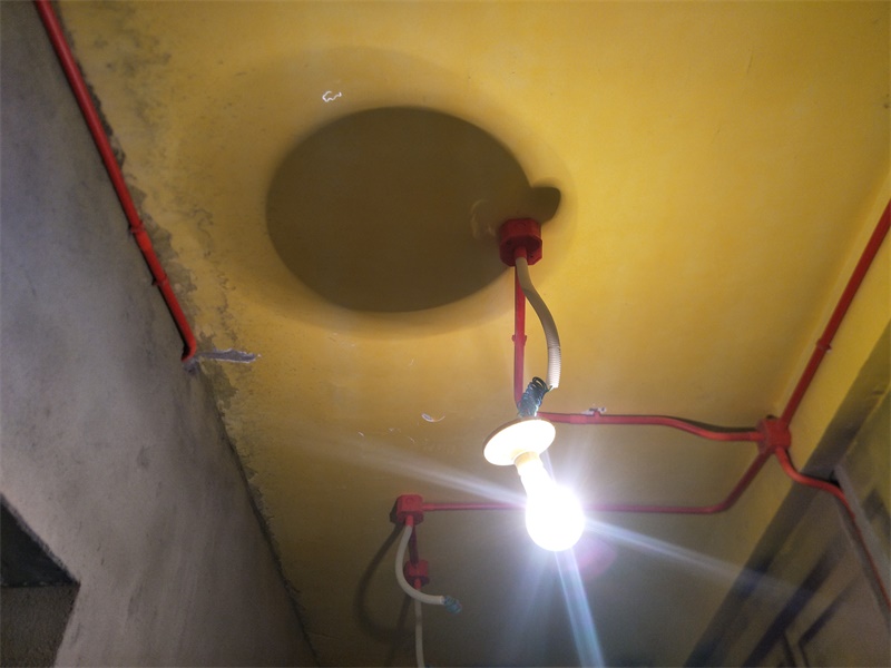 IMG20190726101441.jpg
