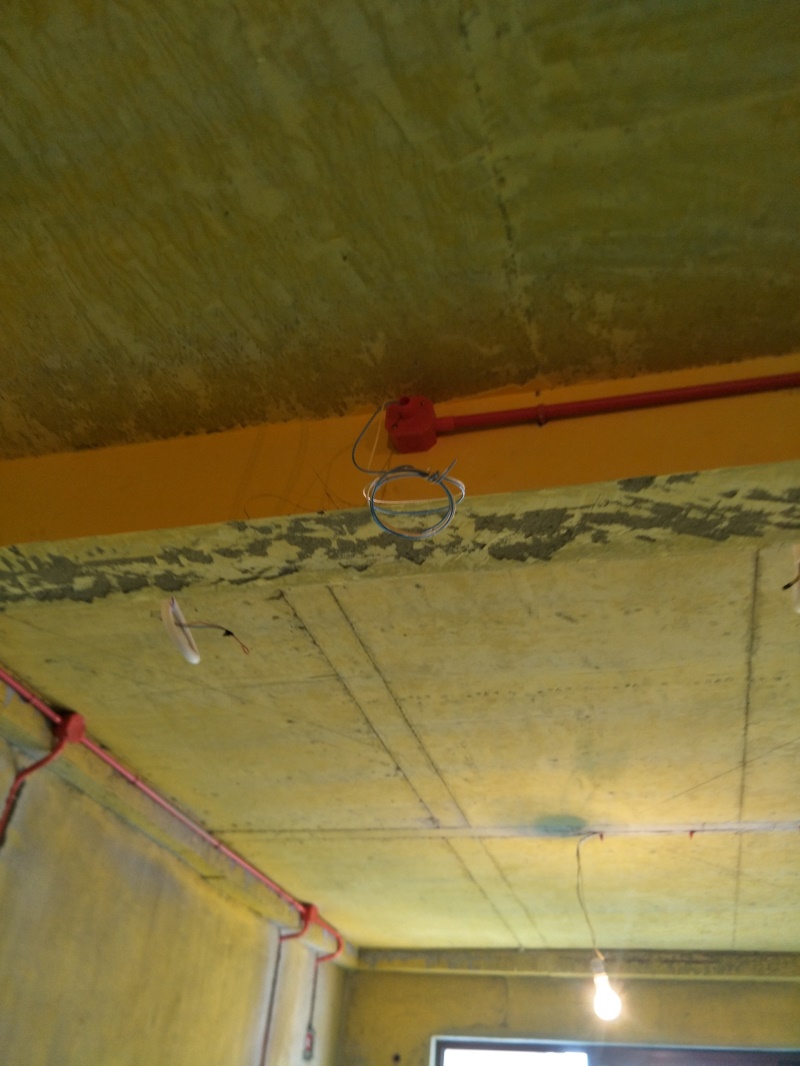 IMG20190726103245.jpg