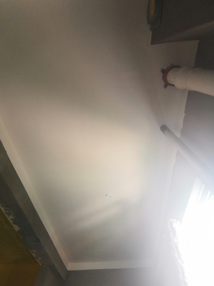 IMG_20190730_170451.jpg