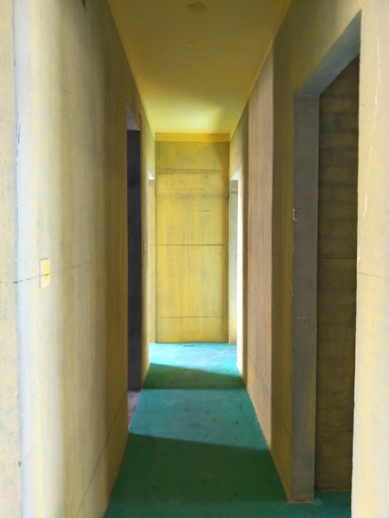 IMG20190731074220.jpg