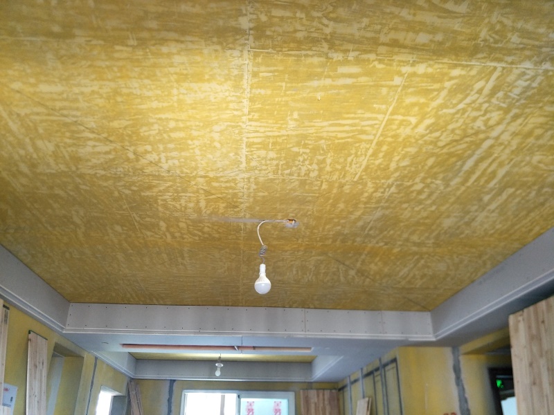 IMG20190801085736.jpg