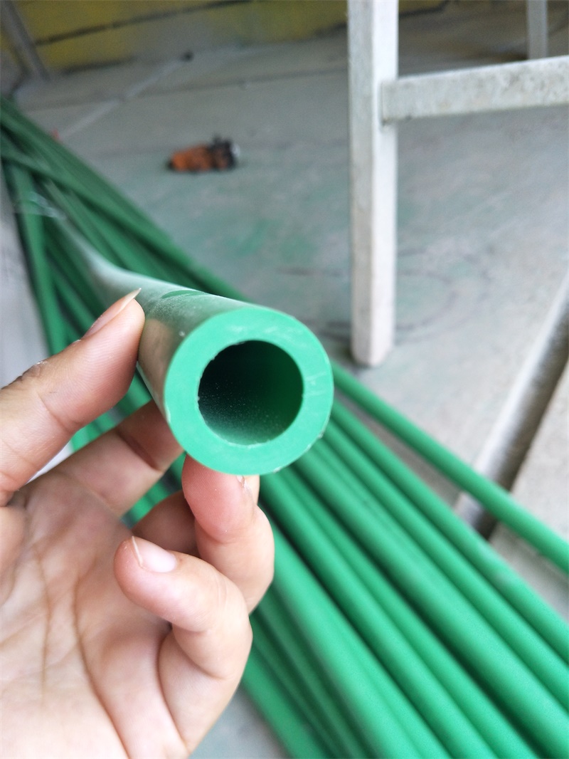 IMG20190731073157.jpg