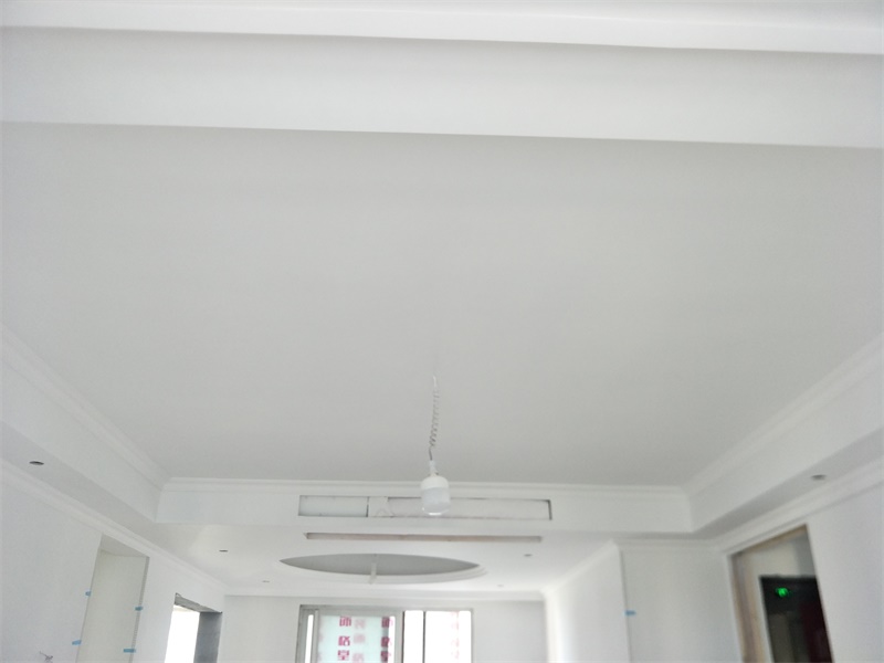 IMG20190731070801.jpg