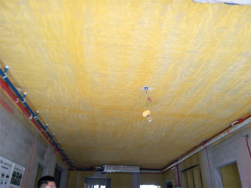 IMG20190731105224.jpg