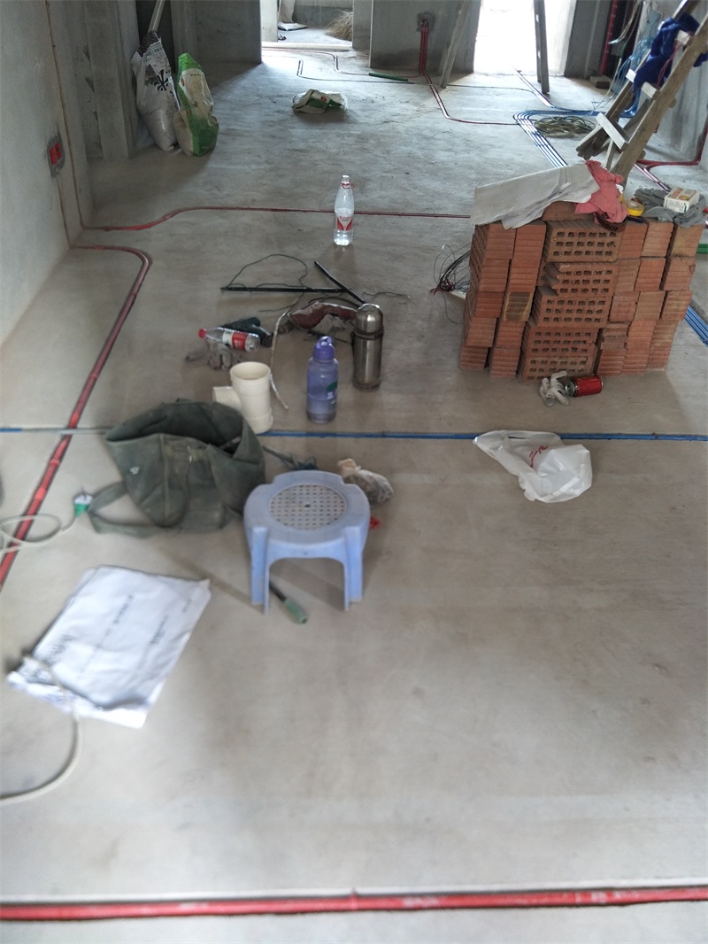 IMG20190730140444.jpg