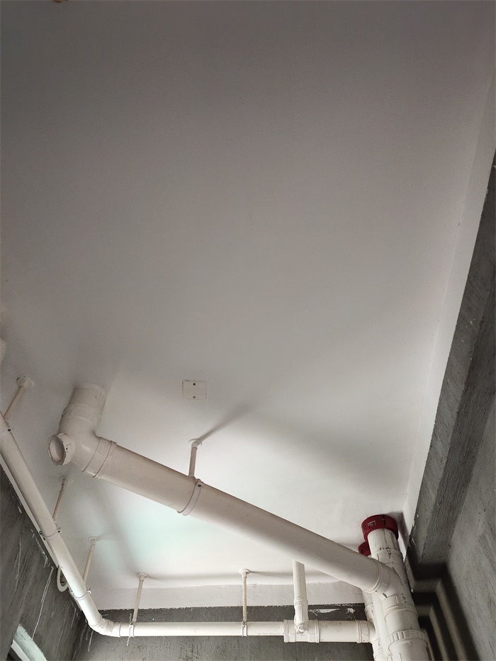 IMG_20190716_100435.jpg