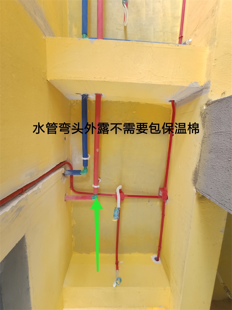 IMG_20190802_084839.jpg