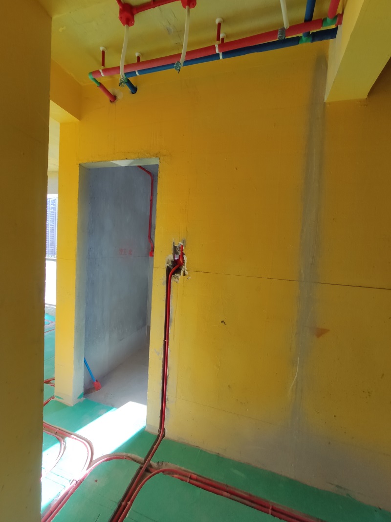 IMG_20190803_075906.jpg