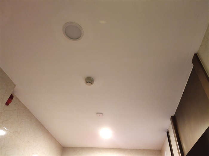 IMG_20190725_104027.jpg