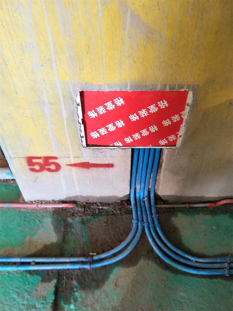 IMG20190801143552.jpg