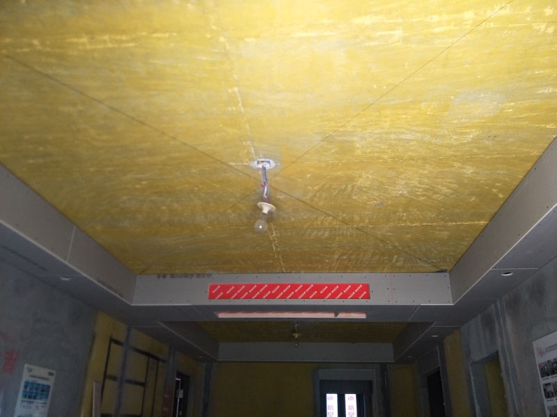 IMG20190803072828.jpg