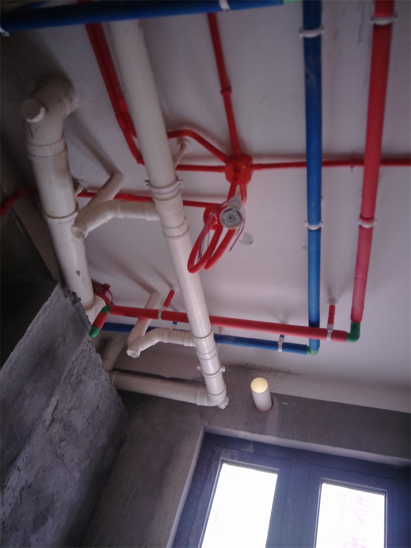 IMG20190803073415.jpg