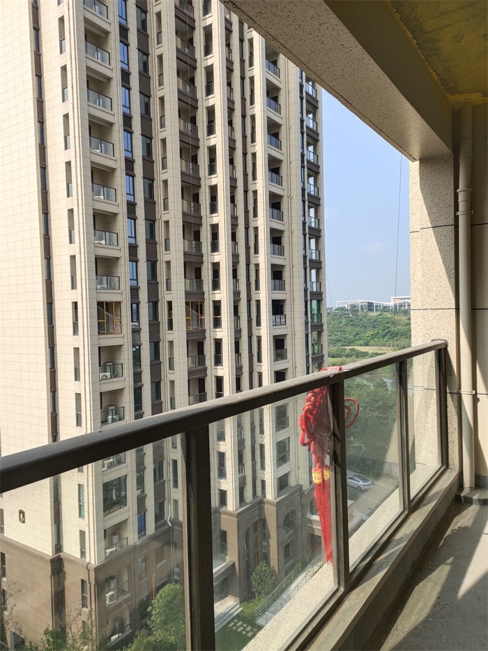 IMG_20190627_082054.jpg