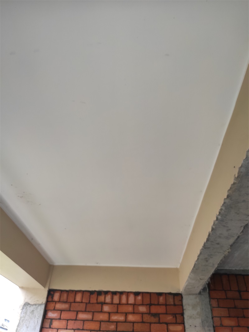 IMG_20190703_112350.jpg