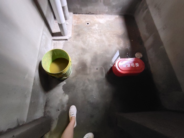IMG_20190622_122301.jpg