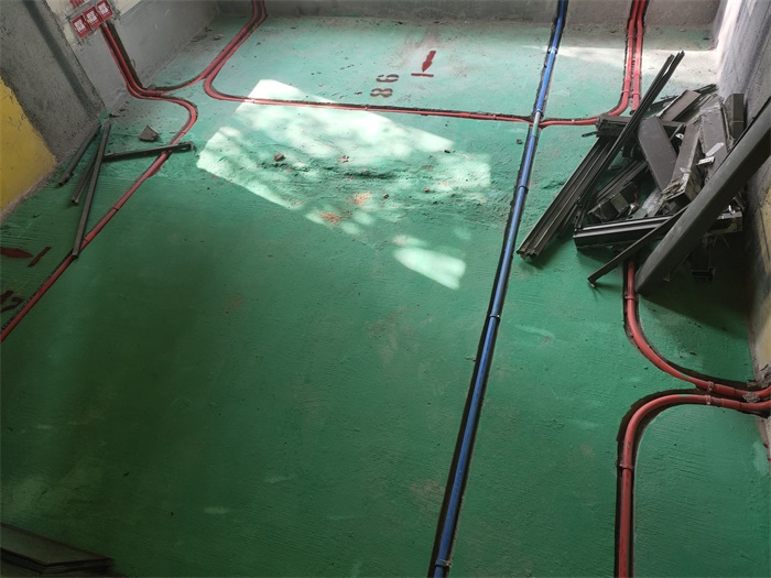 IMG_20190721_152822.jpg