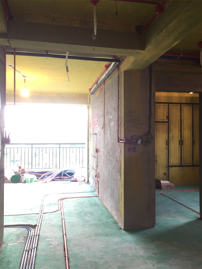 IMG_8102.JPG