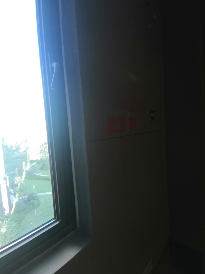 IMG_20190802_085521.jpg