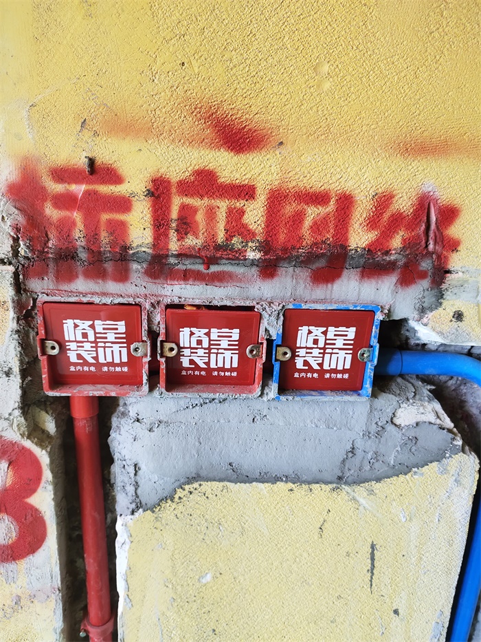 IMG_20190726_090420.jpg