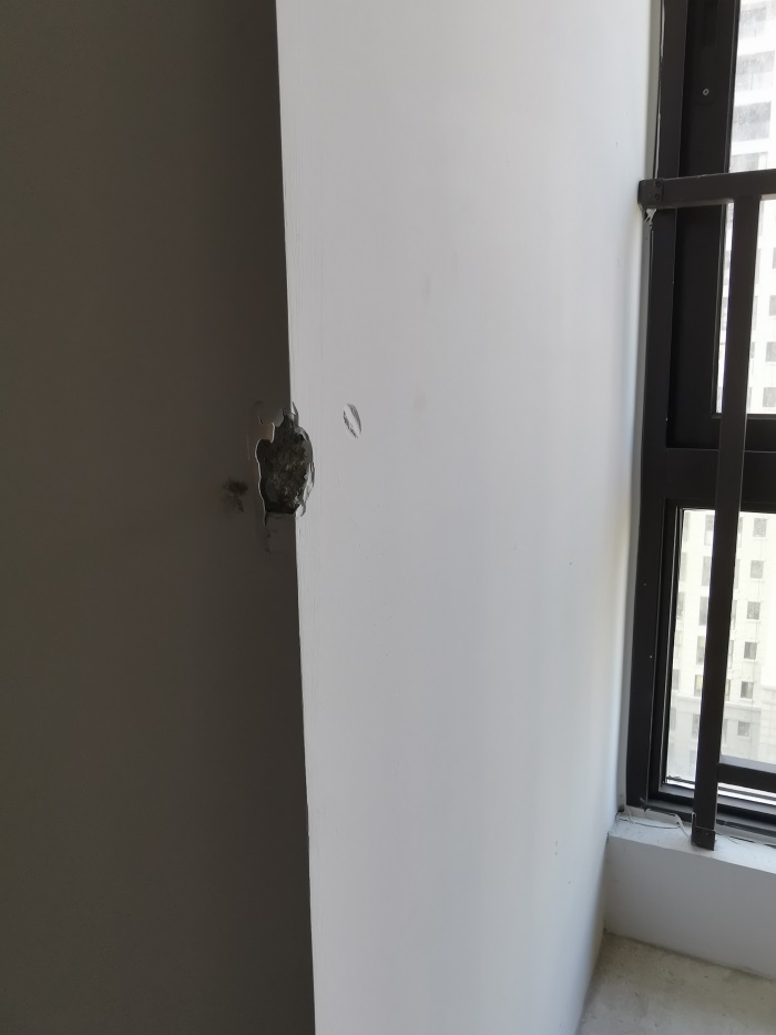 IMG_20190806_081855.jpg