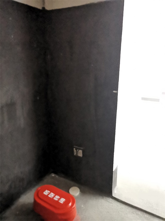IMG_20190806_080448.jpg