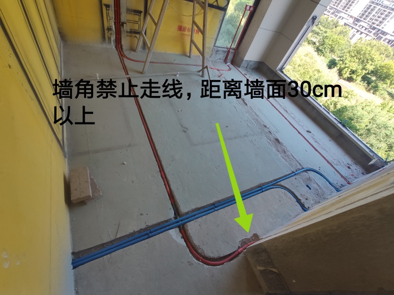 IMG_20190802_094721.jpg