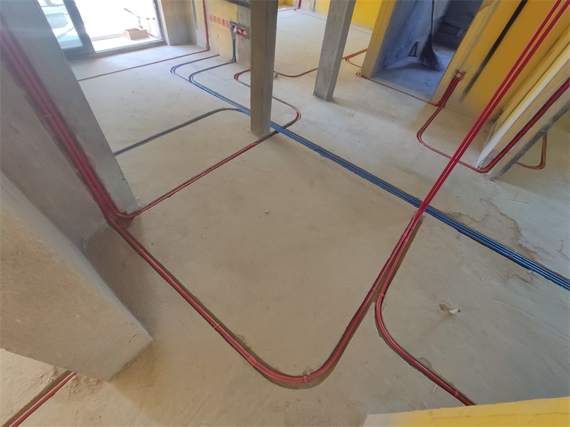 IMG_20190802_100421.jpg