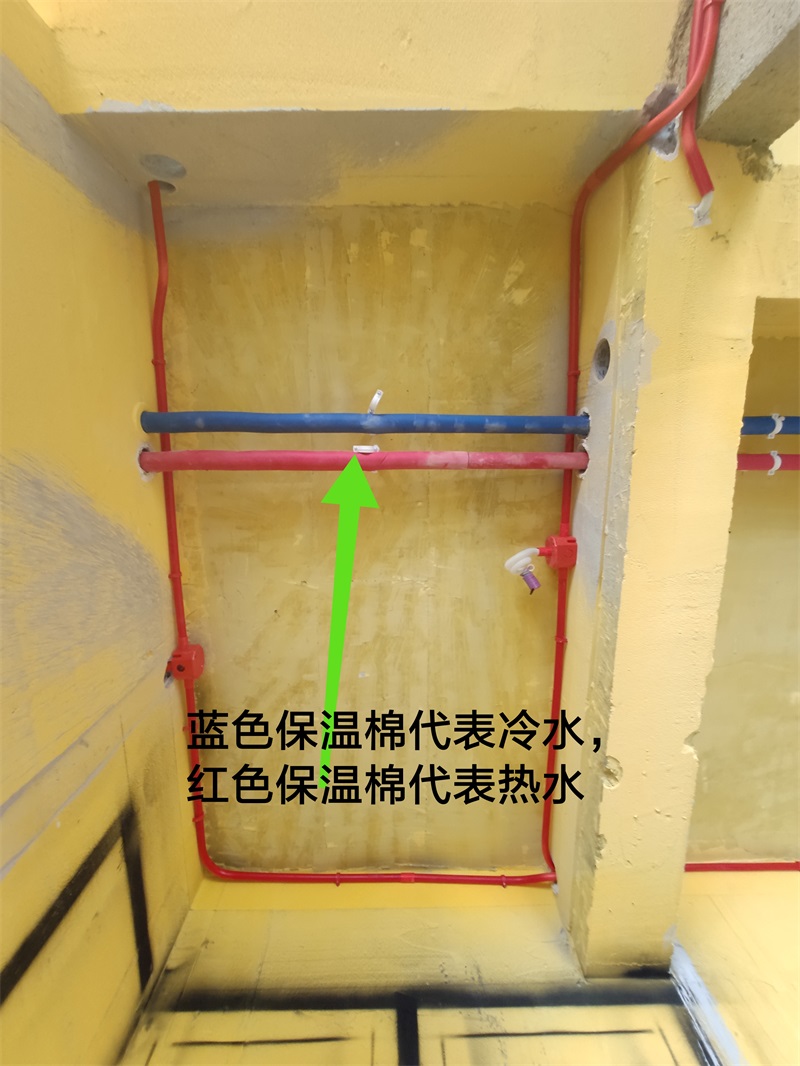 IMG_20190802_100617.jpg