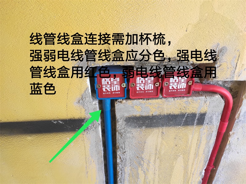 IMG_20190802_101249.jpg