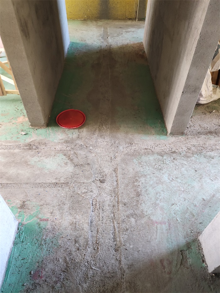 IMG_20190801_085520.jpg