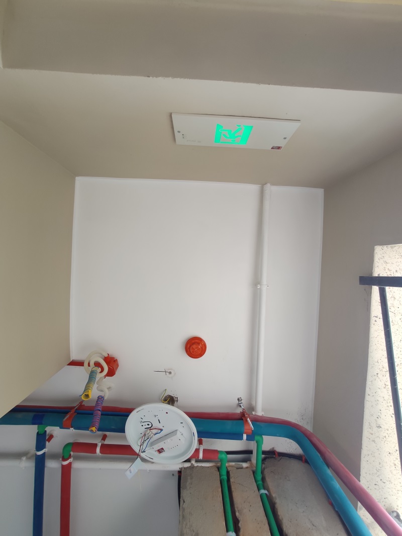 IMG_20190809_103353.jpg