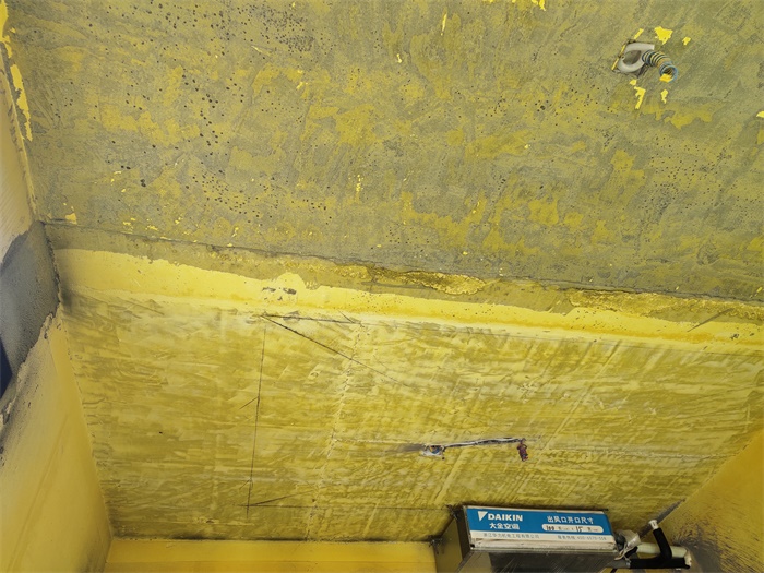 IMG_20190801_085835.jpg