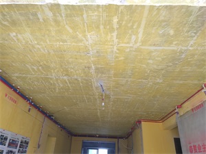IMG_20190807_091525.jpg