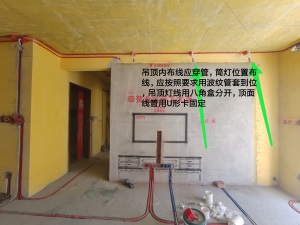 IMG_20190807_092526.jpg