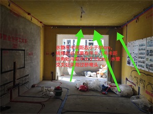 IMG_20190807_092132.jpg