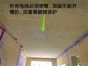 IMG_20190807_092759.jpg