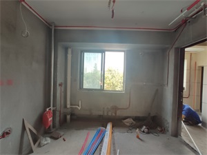 IMG_20190807_092932.jpg