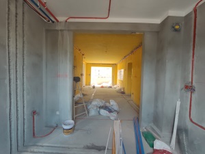 IMG_20190807_092939.jpg