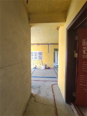 IMG_20190807_093355.jpg