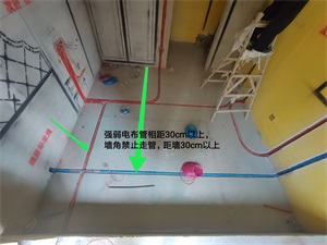 IMG_20190807_093608.jpg