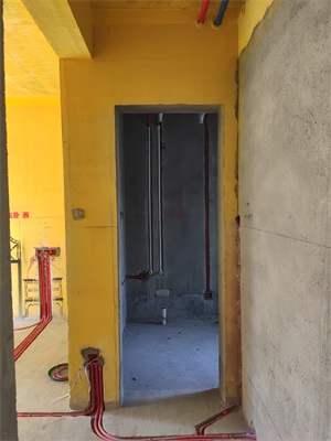 IMG_20190807_093756.jpg