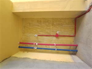 IMG_20190807_093805.jpg