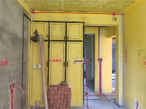 IMG_20190807_093905.jpg