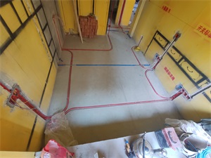 IMG_20190807_093915.jpg