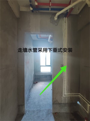 IMG_20190807_094028.jpg