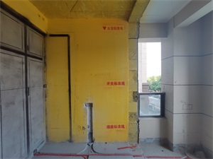IMG_20190807_094341.jpg