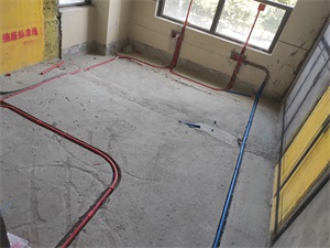 IMG_20190807_094334.jpg