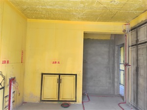 IMG_20190807_094559.jpg