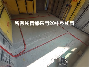 IMG_20190807_094647.jpg