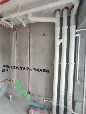 IMG_20190807_094937.jpg